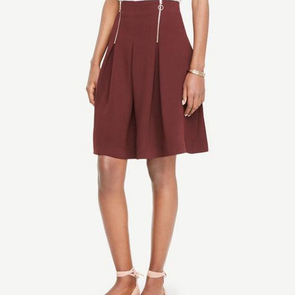 Ann Taylor Petite A-Line Front Zipper Skirt
